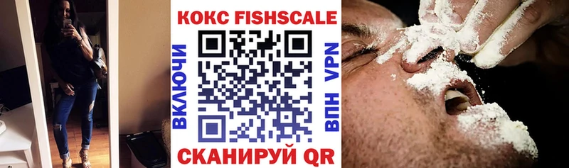 где купить   Сясьстрой  COCAIN 99% 