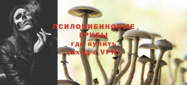 гидра Арсеньев