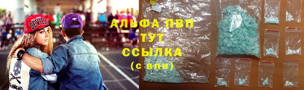 гидра Арсеньев
