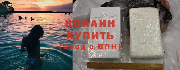 гидра Арсеньев