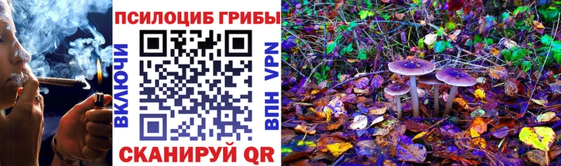 Псилоцибиновые грибы Cubensis  мега онион  Сясьстрой 